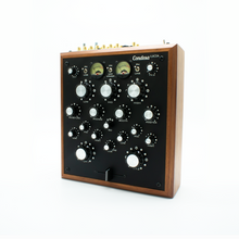 Load image into Gallery viewer, Lucia X