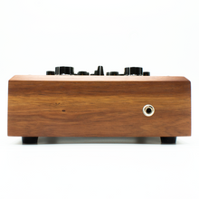 Load image into Gallery viewer, Lucia X